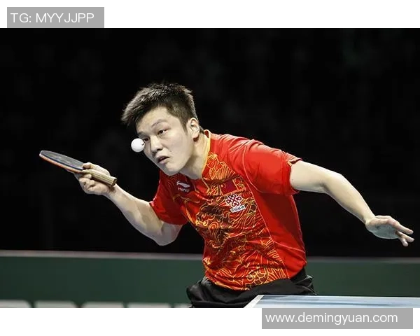 武汉乒乓球队团队协作的成功之道与未来发展探讨